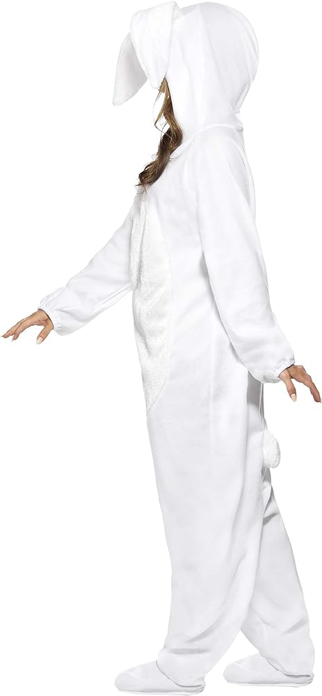 Rabbit Costume